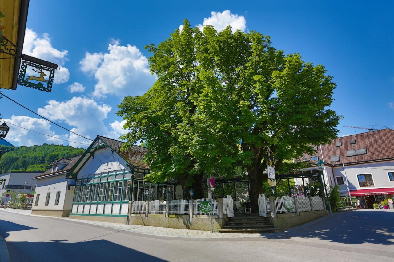 Apartment Welser Ybbsitz Экстерьер фото