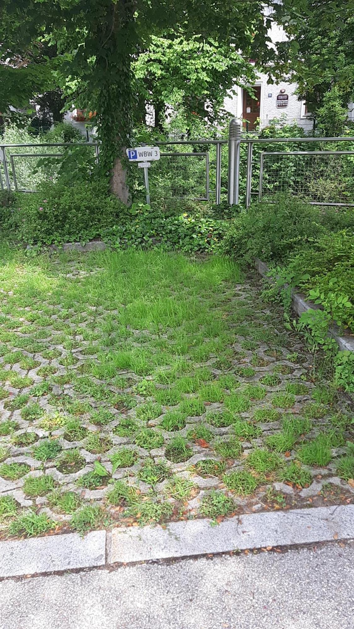Apartment Welser Ybbsitz Экстерьер фото